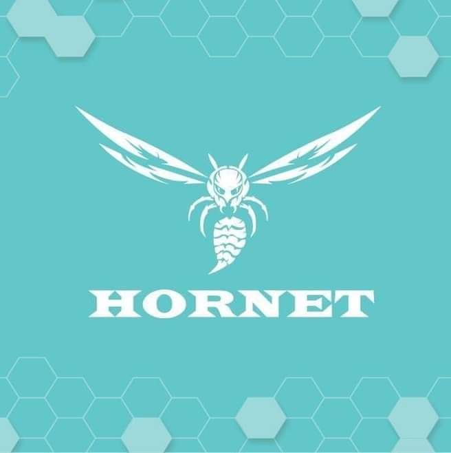 Hornet Diy